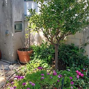 阿特米达Lenia'S 1公寓 Exterior photo