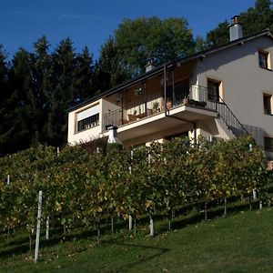 LontzenCasavitis Erholung Am Weinberg公寓 Exterior photo