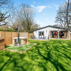 Little Yew Tree Lodge Hambledon  Exterior photo