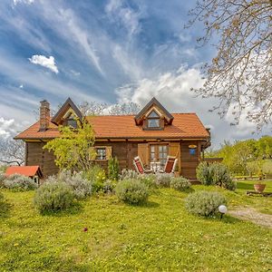 Rural House With Wellness - Happy Rentals Sveti Ivan Zelina Exterior photo