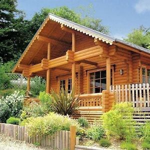 Solid Log Cabin With Private Hot Tub - Oak Aymestrey Exterior photo