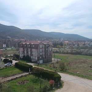 Aleksandar Apartman Sokobanja Exterior photo