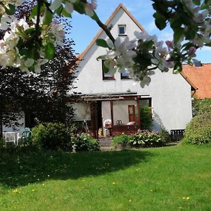 Freistehendes Ferienhaus In Adendorf Mit Terrasse, Grill Und Garten Exterior photo
