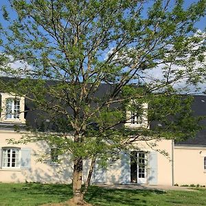 Maison Familiale Entre Beauval & Chambord Pruniers Exterior photo