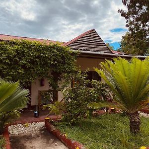 Zanzllywood Uroa Beach Suites Hotel Apartment - Newly Renovated Dikoni Exterior photo