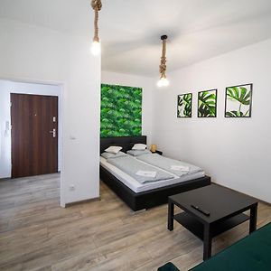 Jungle Vision Apartment - Rynek 奥普尔 Exterior photo