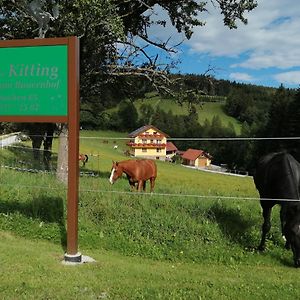 VorauUrlaub Am Bauernhof Familie Kitting别墅 Exterior photo