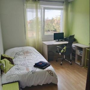 Chambre #3 Dans Appartement Partage - Proche Des Vosges 坦恩 Exterior photo