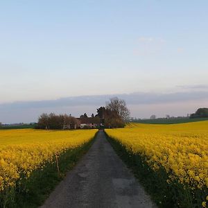 Hammenhög Salarpsgarden旅馆 Exterior photo