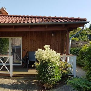 Ferienwohnung Bad Doberan - Mit Garten Und Terrasse - 2023 Neu Renoviert Exterior photo