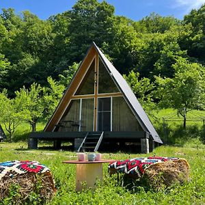 Cabane A-Frame Svinita别墅 Exterior photo