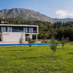 Stylish Villa Near Dubrovnik With A Swimming Pool 米利尼 Exterior photo