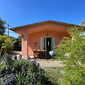 Holiday Home Casa Dei Nonni - Imp425 By Interhome 因佩里亚 Exterior photo