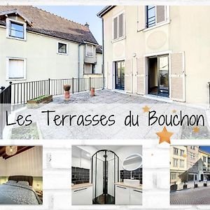特鲁瓦Les Terrasses Du Bouchon公寓 Exterior photo