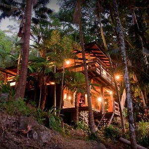 Currumbin ValleyCurrumbin Rainforest Treehouse别墅 Exterior photo