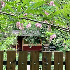 Cinke Cottage, Nest In Nature Verőcemaros Exterior photo