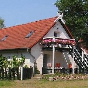 Wohnung Mit 4 Preisgunstigen Einzelzimmern Fur Handwerker Und Monteure Im Suden Von Hamburg 托彭施泰特 Exterior photo