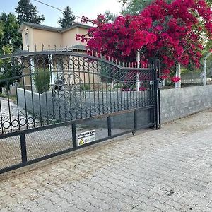 Muhtesem Doga Manzarali Villa Ucretsiz Internet 安塔利亚 Exterior photo
