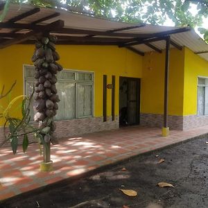 Cabana En La Playa Punta Bolivar 圣安特罗 Exterior photo