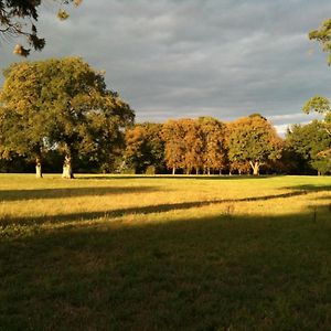 Gites Dans Le Parc Classe Du Martreil Sainte-Christine  Exterior photo