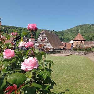 DörrenbachGaestehaus Hoffmann公寓 Exterior photo