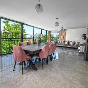 Moses Luxury Vacation Homes-מתחם פיניקס 萨法德 Exterior photo