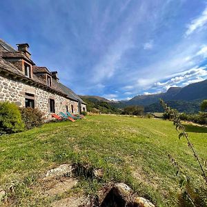 L'Impradine, Grand Gite Vue Et Nature Splendides Le Falgoux Exterior photo