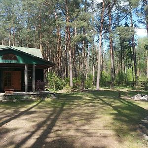DlugosiodloFantastyczny Dom W Lesie别墅 Exterior photo
