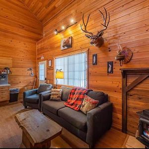 Cabin #1 Buffalo Herd -Pet Friendly - Sleeps 6 - Playground & Game Room 佩森 Exterior photo