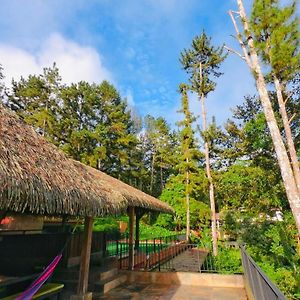 La Semilla Ecolodge 塞罗阿苏尔 Exterior photo