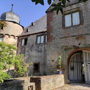 Schloss Hollrich Karsbach Exterior photo