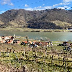 Top Ferienhaus Bei Spitz / Wachau Schwallenbach Exterior photo