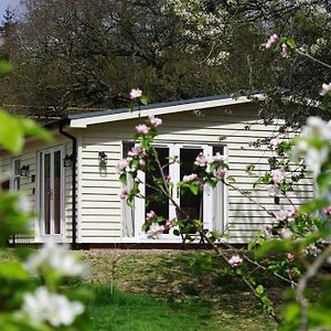 Orchard Cottage - Kent Lyminge Exterior photo
