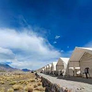 Blue Waves Camps Lake View Pangong Tangtse Exterior photo