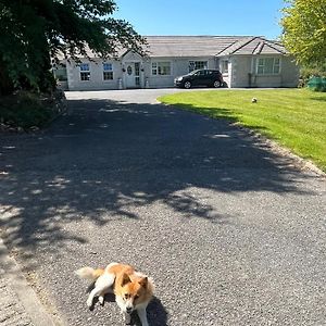 Graiguenamanagh Homestay Exterior photo