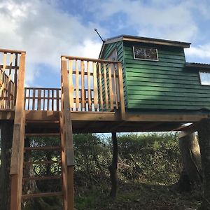 Tree House And Shepherds Hut 艾士伯顿 Exterior photo