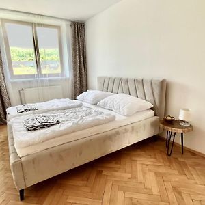 Apartman Destne V Orlickych Horach 58公寓 Exterior photo