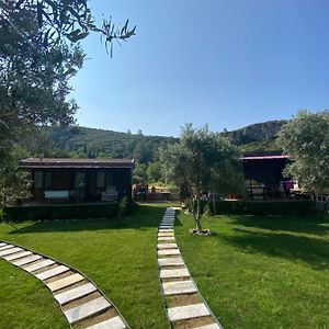 马尔马里斯Sogut Tinyhouse & Glamping公寓 Exterior photo