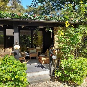 Cozy Chalet In A Nature Reserve With Garden 旧蒂尔瑙特 Exterior photo