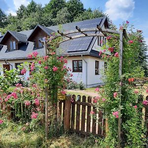 BiałowieżaCichosza - The Sound Of Silence别墅 Exterior photo