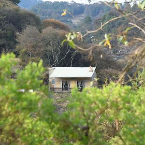 米内拉尔德尔蒙特El Encino Cabin In Real Del Monte别墅 Exterior photo