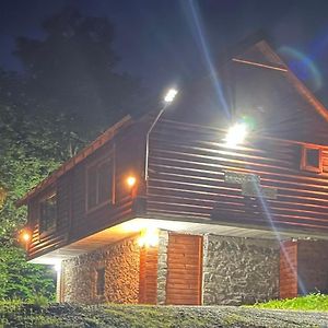 莫伊科瓦茨Log Cabin 1 Merdovic住宿加早餐旅馆 Exterior photo