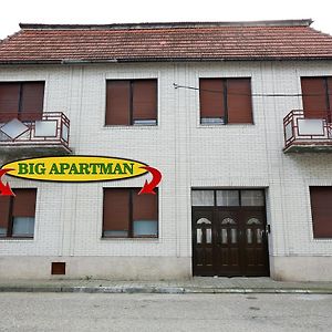 贝拉茨尔克瓦Big Apartman Bela Crkva公寓 Exterior photo