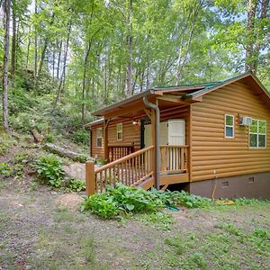 Remote Escape Murphy Cozy Cabin In The Woods Marble Exterior photo