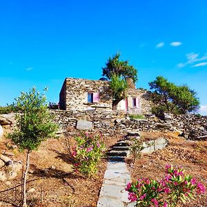 Owl'S Nest/The Pink Cottage Ioulis Exterior photo