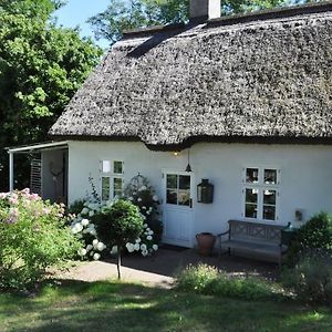 Zauberhaftes Englisches Cottage Am Gutshaus Gross Schoritz Exterior photo