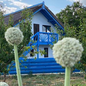 Casa Enisala旅馆 Exterior photo