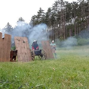 Penzion Litohlavy 17 - Na Samote U Lesa Králŭv Dvŭr Exterior photo