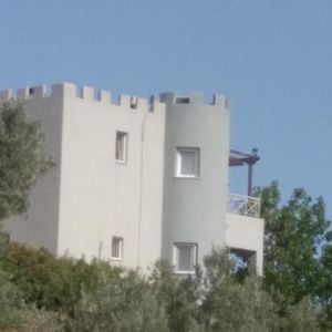 阿约伊阿波斯托洛伊El Castle公寓 Exterior photo