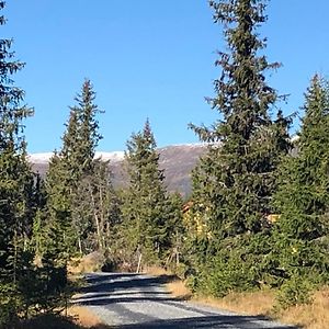 Sykkelhytte Ved Slatten I Synnfjellet Nord Torpa Exterior photo